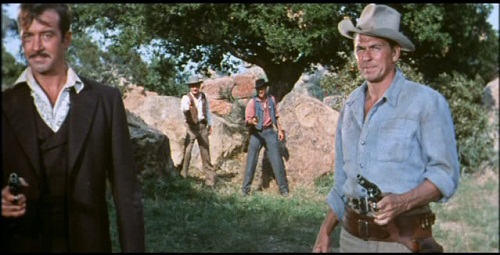 Tennessee’s Partner