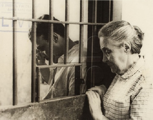 Mineirinho Vivo ou Morto